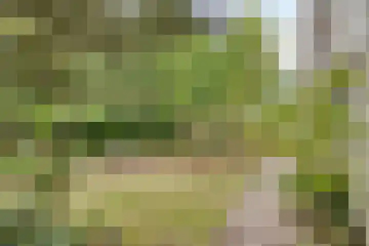 Reewoude 49 Herkenbosch thumbnail 29