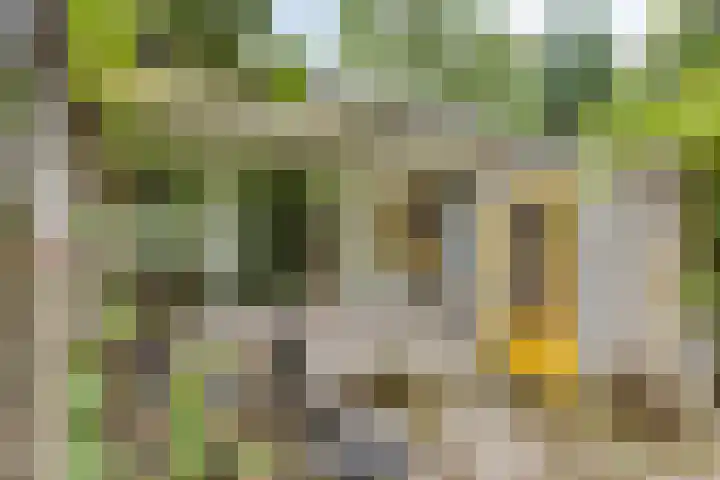 Reewoude 49 Herkenbosch thumbnail 32