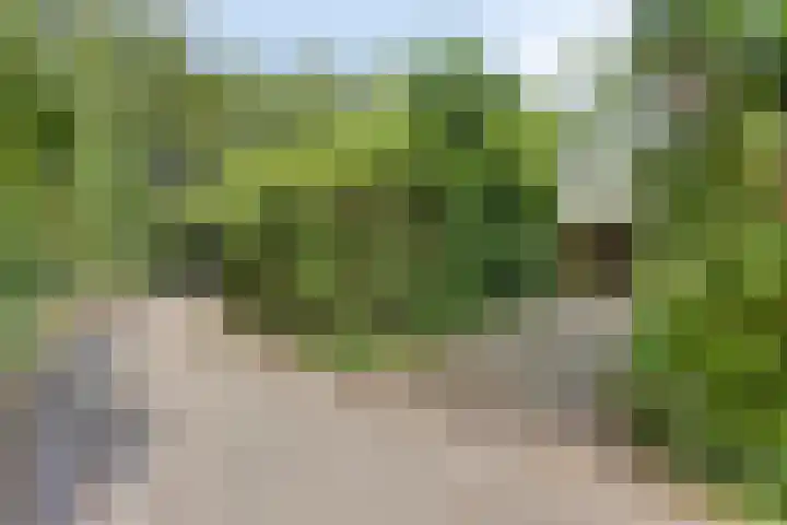 Reewoude 49 Herkenbosch thumbnail 34