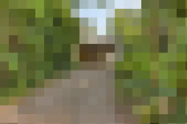 Reewoude 49 Herkenbosch thumbnail 4
