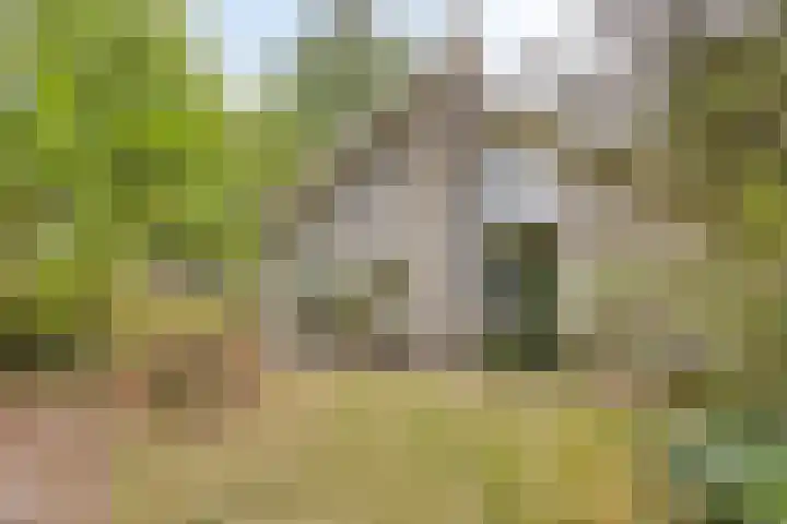 Reewoude 49 Herkenbosch thumbnail 42