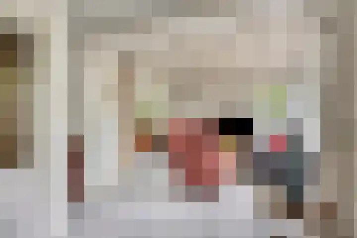 Reewoude 49 Herkenbosch thumbnail 6