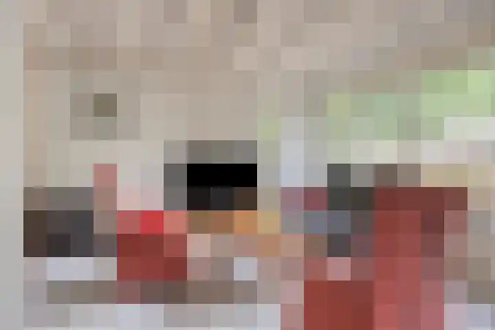 Reewoude 49 Herkenbosch thumbnail 7