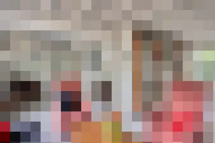 Reewoude 49 Herkenbosch thumbnail 8