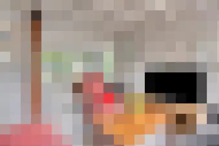 Reewoude 49 Herkenbosch thumbnail 9