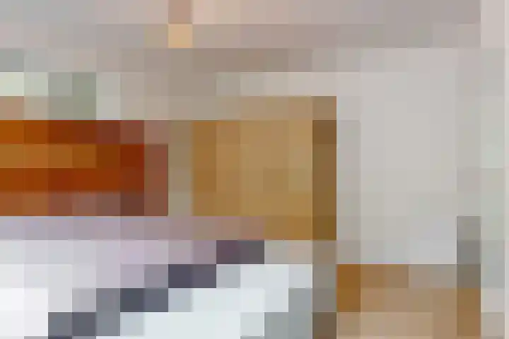 Reewoude 51 Herkenbosch thumbnail 14