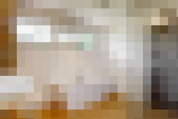 Reewoude 51 Herkenbosch thumbnail 16