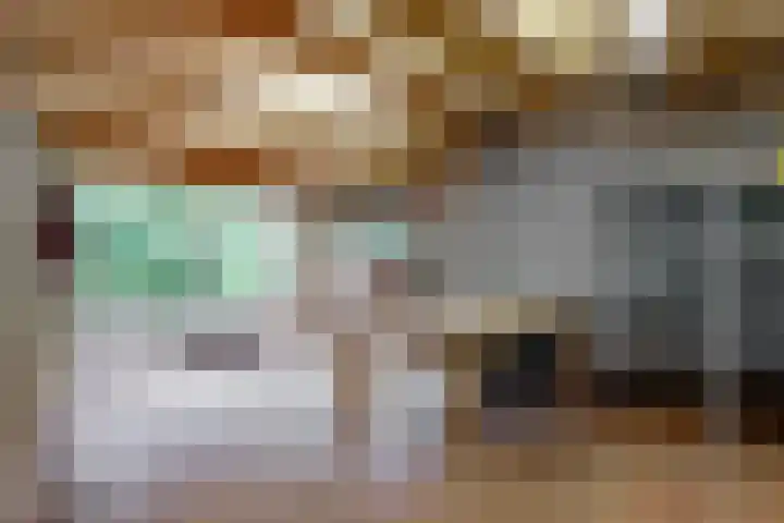 Reewoude 51 Herkenbosch thumbnail 24