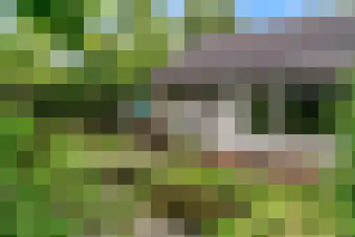 Reewoude 51 Herkenbosch thumbnail 28