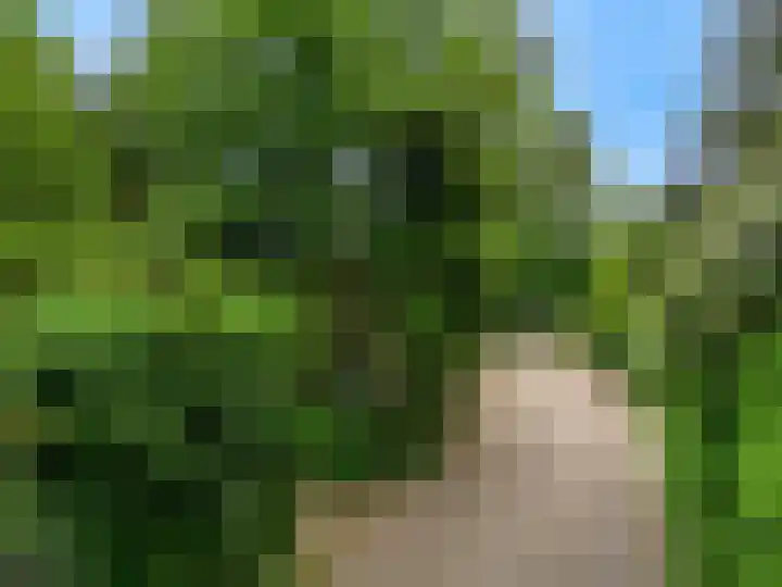 Reewoude 51 Herkenbosch thumbnail 30