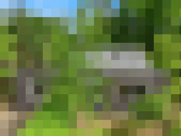Reewoude 51 Herkenbosch thumbnail 34