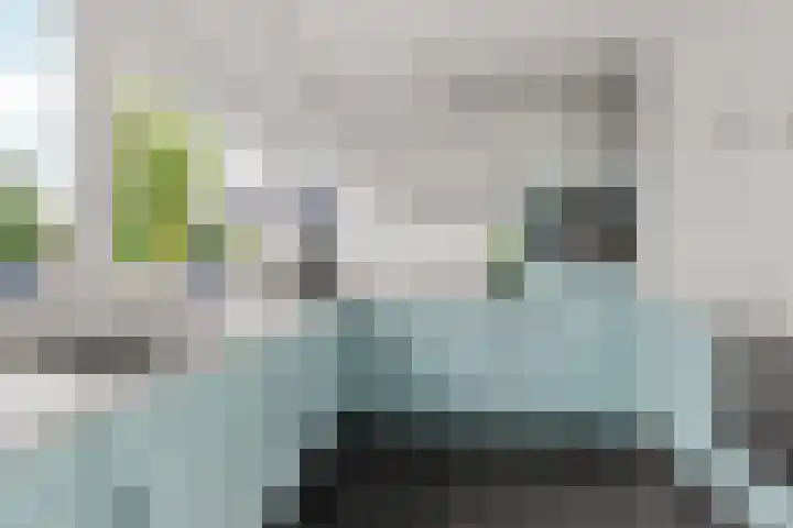 Regenboog 155 Elst thumbnail 11
