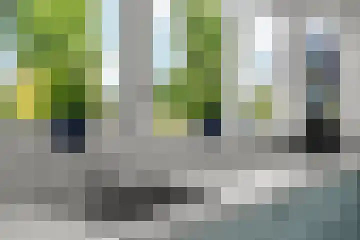 Regenboog 155 Elst thumbnail 12