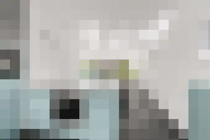 Regenboog 155 Elst thumbnail 13
