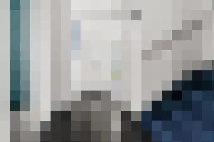 Regenboog 155 Elst thumbnail 17