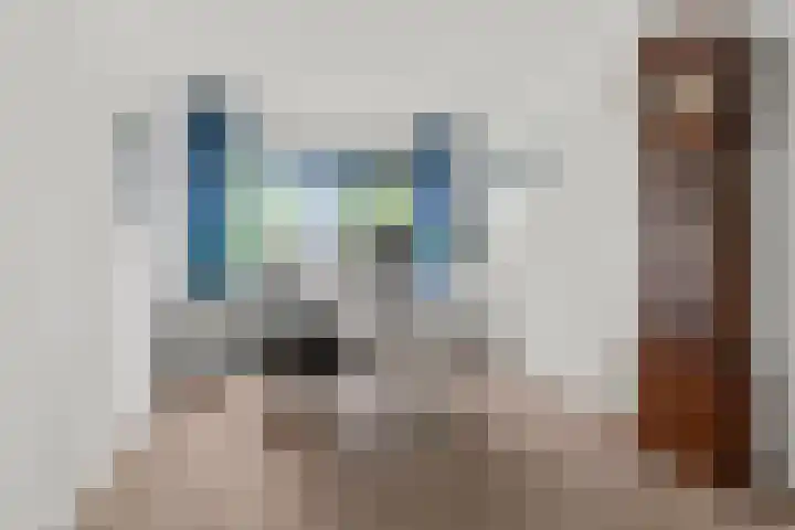 Regenboog 155 Elst thumbnail 21