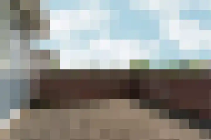 Regenboog 155 Elst thumbnail 31