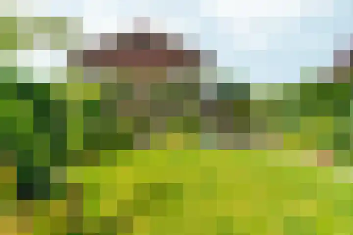 Regenboog 155 Elst thumbnail 36