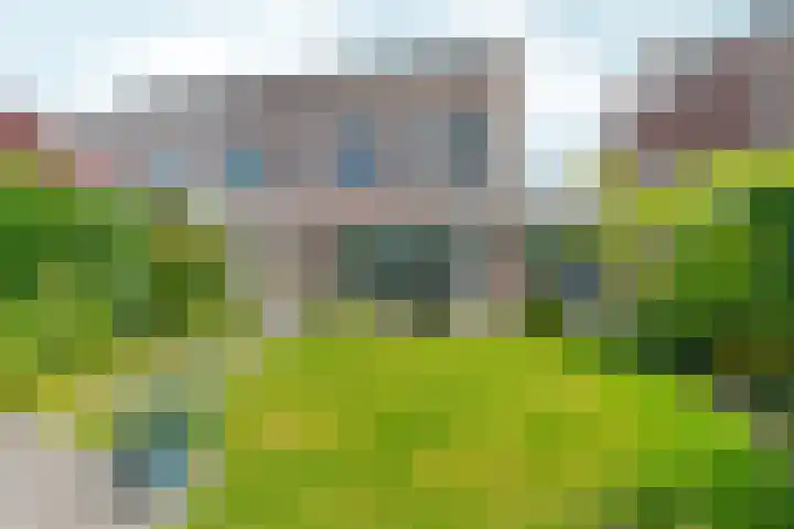 Regenboog 155 Elst thumbnail 38