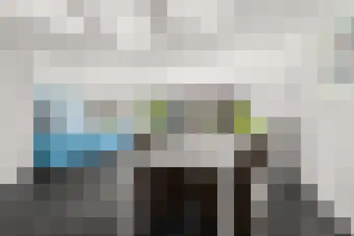 Regenboog 155 Elst thumbnail 4