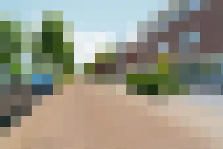 Regenboog 155 Elst thumbnail 43