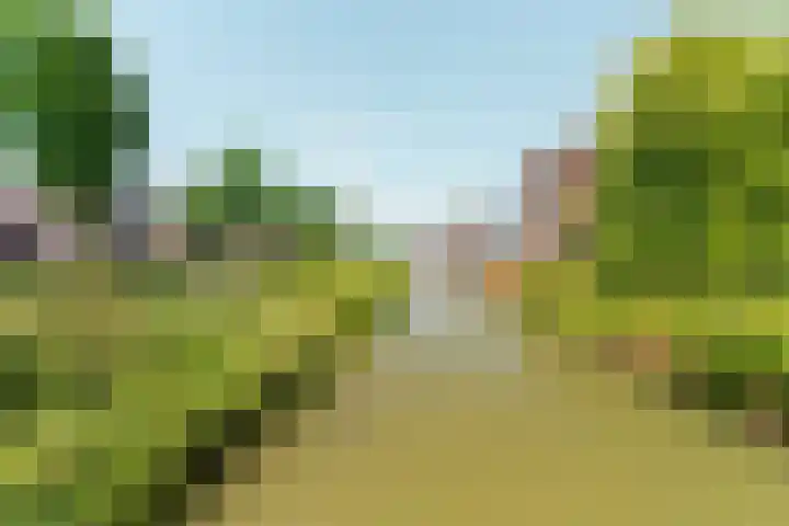 Regenboog 155 Elst thumbnail 45