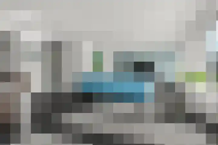 Regenboog 155 Elst thumbnail 5
