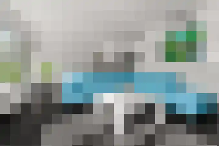 Regenboog 155 Elst thumbnail 7