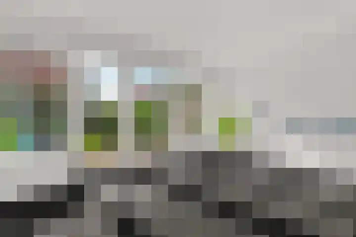 Regenboog 155 Elst thumbnail 8
