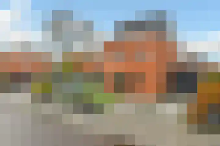 Regenboog 231 Elst