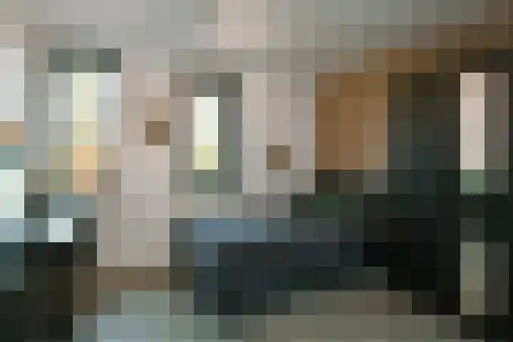 Regenboog 231 Elst thumbnail 28