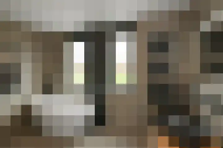 Regenboog 231 Elst thumbnail 31
