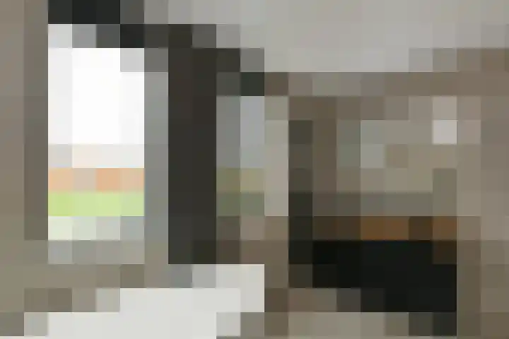 Regenboog 231 Elst thumbnail 34