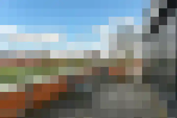 Regenboog 231 Elst thumbnail 42
