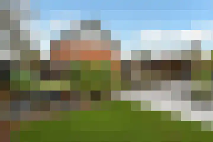 Regenboog 231 Elst thumbnail 43