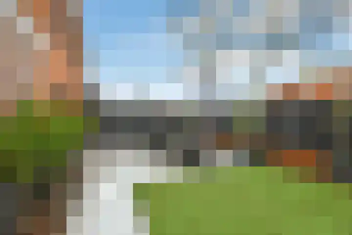 Regenboog 231 Elst thumbnail 46