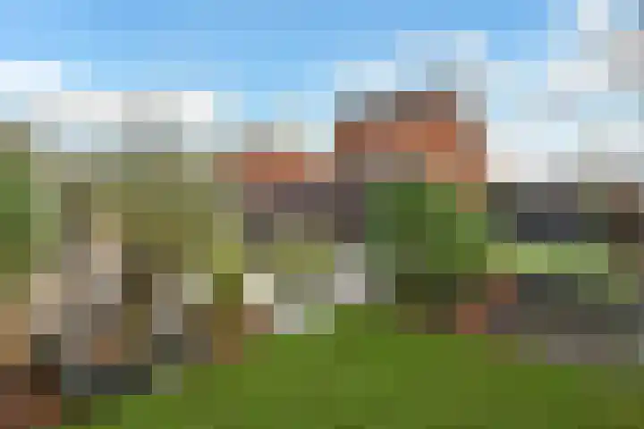 Regenboog 231 Elst thumbnail 53