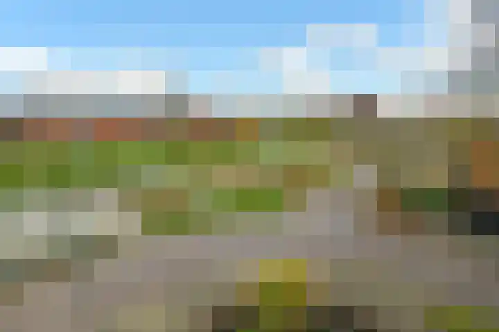 Regenboog 231 Elst thumbnail 58