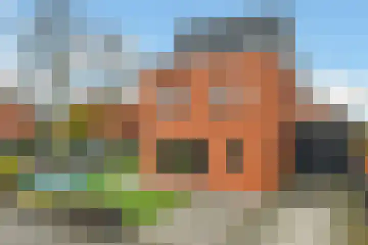Regenboog 231 Elst thumbnail 59
