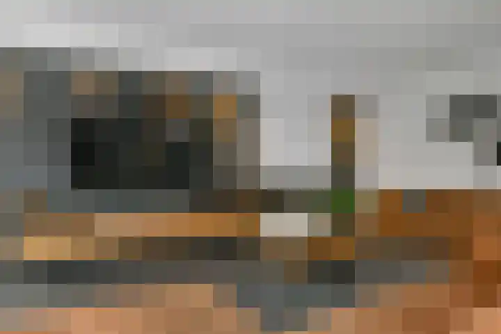 Regenboog 231 Elst thumbnail 9