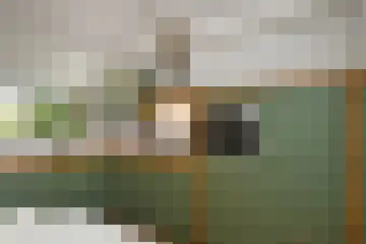 Regenboog 91 Elst thumbnail 11