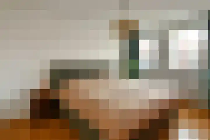 Regenboog 91 Elst thumbnail 14