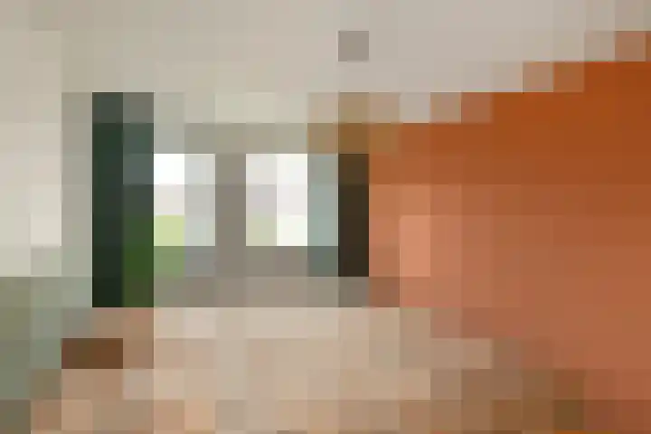 Regenboog 91 Elst thumbnail 15