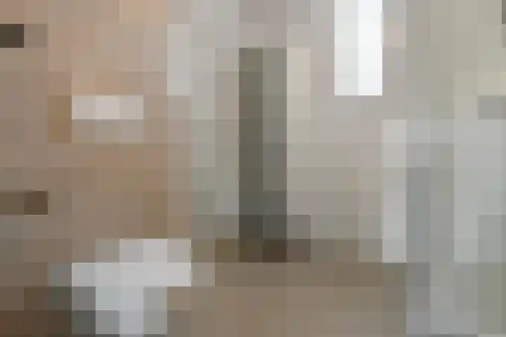 Regenboog 91 Elst thumbnail 20