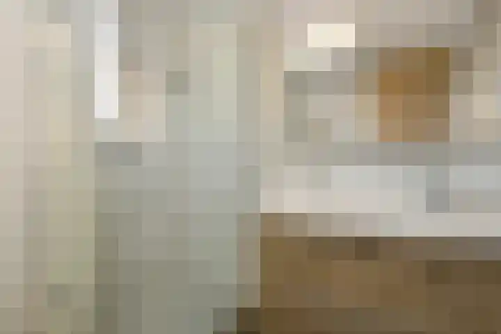 Regenboog 91 Elst thumbnail 22