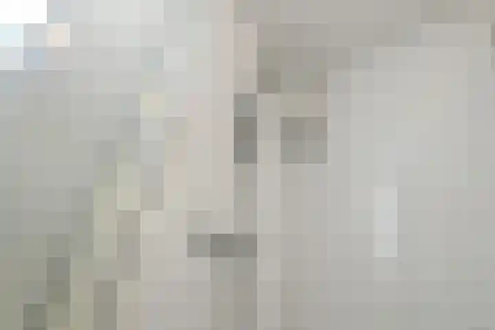 Regenboog 91 Elst thumbnail 23
