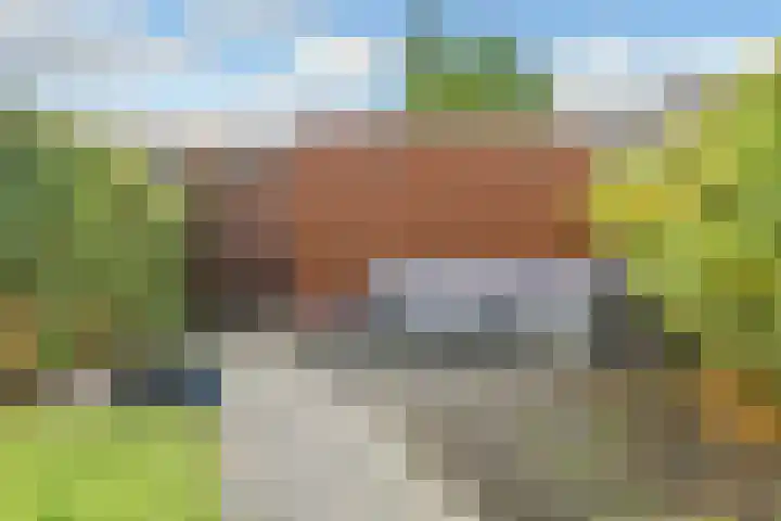 Regenboog 91 Elst thumbnail 29