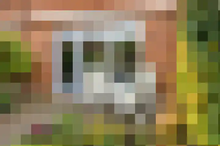 Regenboog 91 Elst thumbnail 32