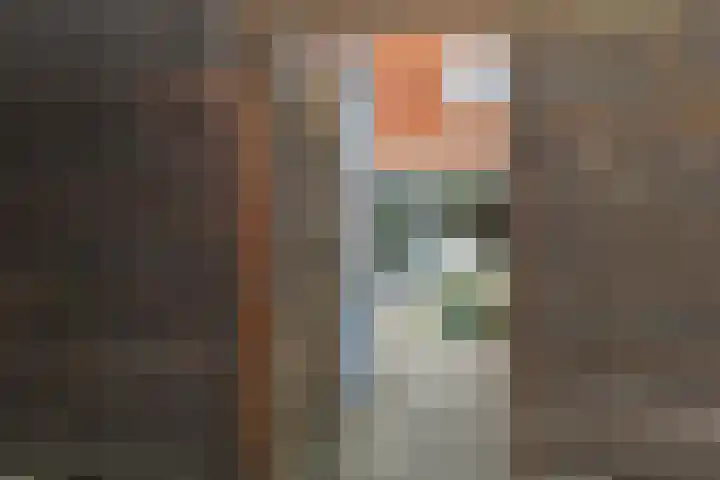 Regenboog 91 Elst thumbnail 34