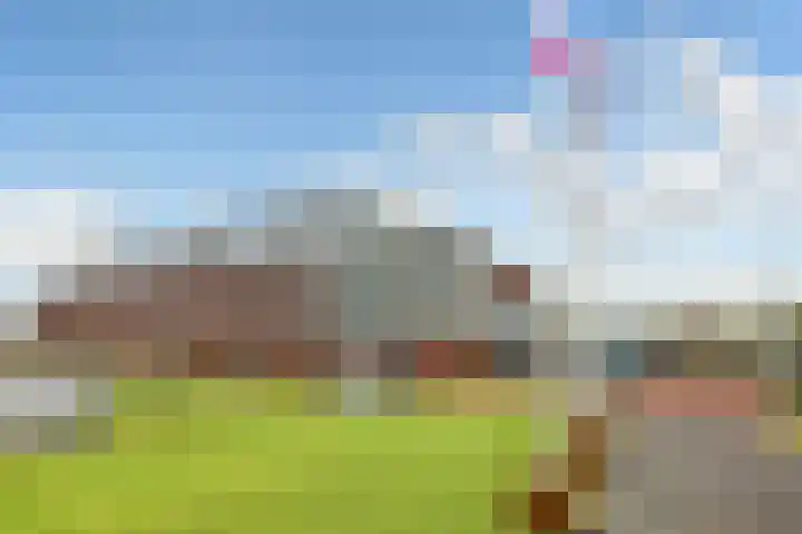 Regenboog 91 Elst thumbnail 36